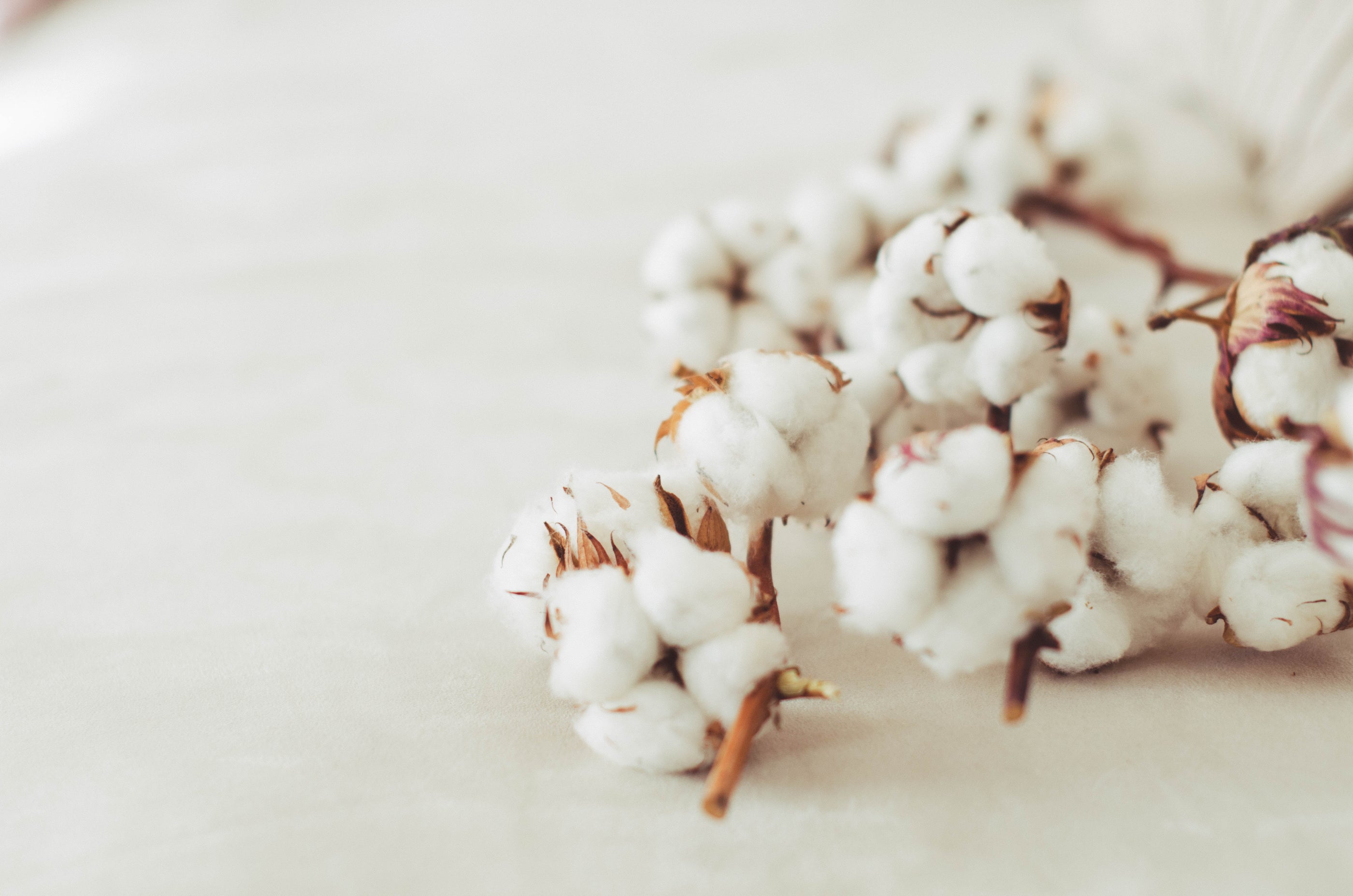 Why is GOTS-Certified Organic Cotton Better?
